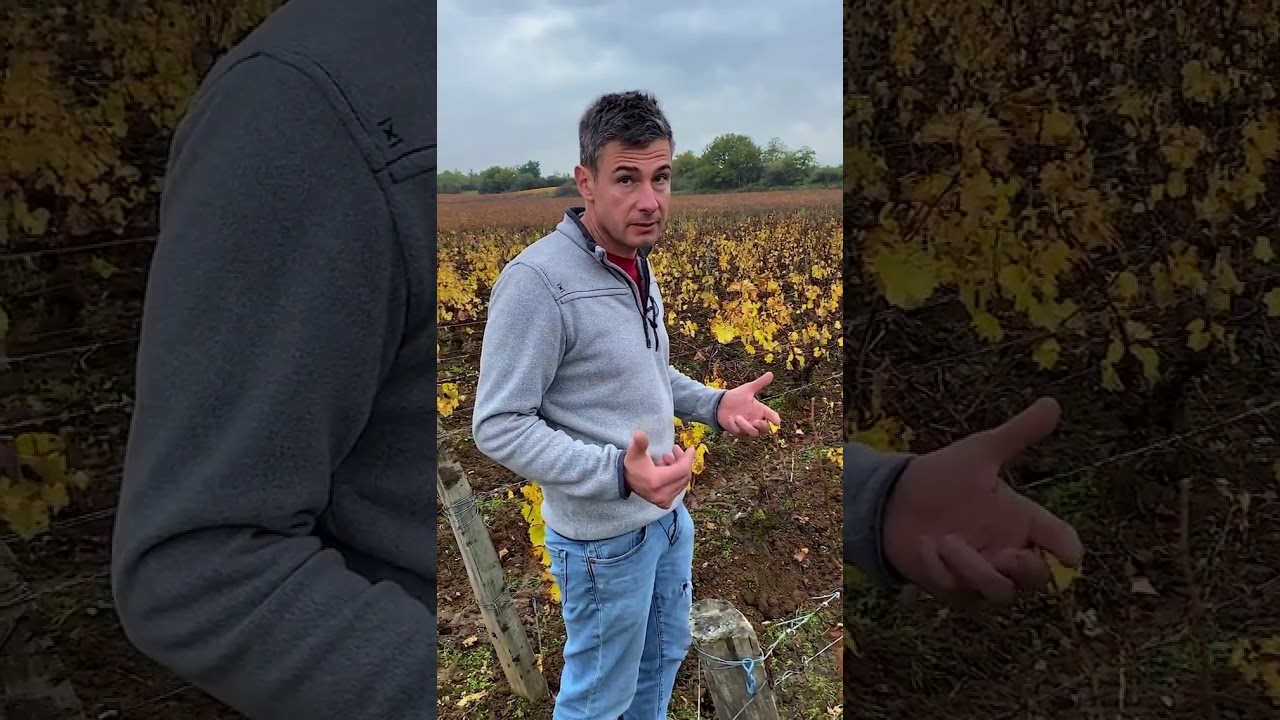 Vincent Dureuil on Rully 1er Cru Meix Cadot