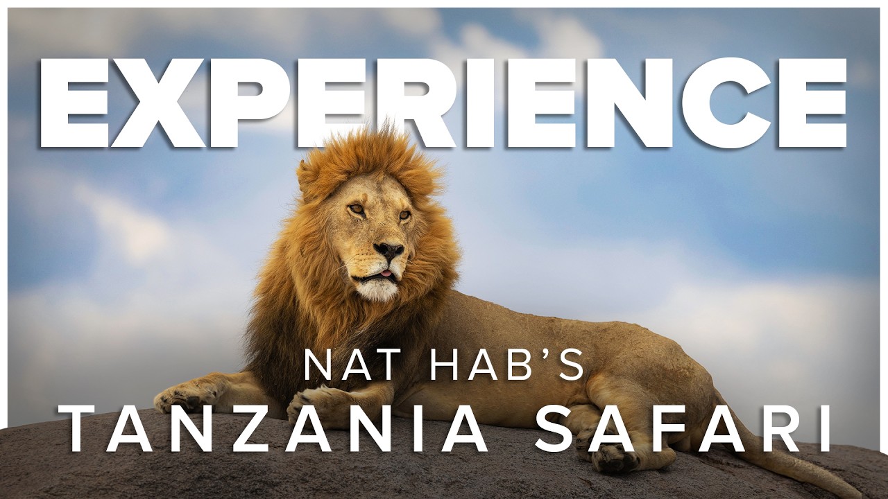Experience Tanzania: Up Close with Elephants, Lions & the Great Migration