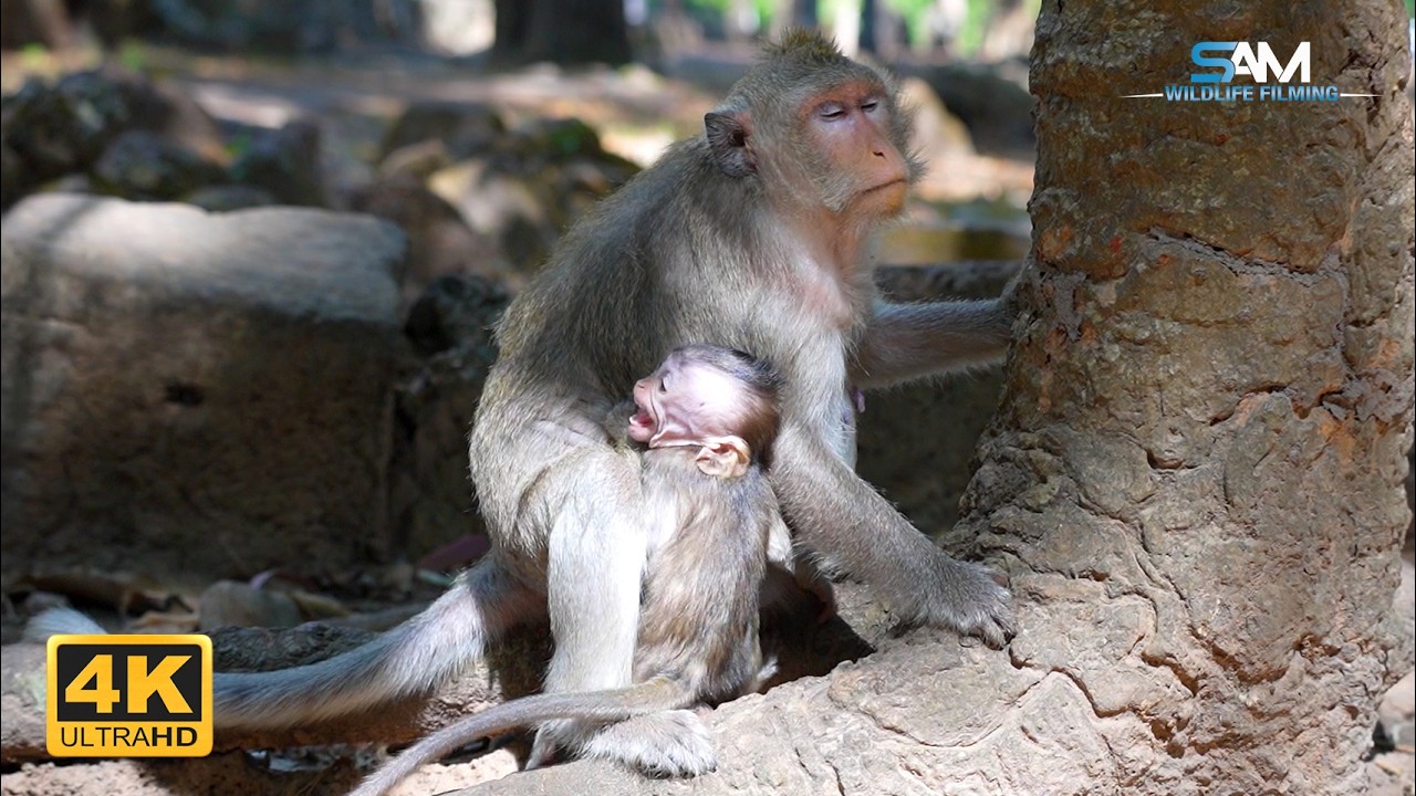 Strictness as Love: How BUTTON Expresses Care