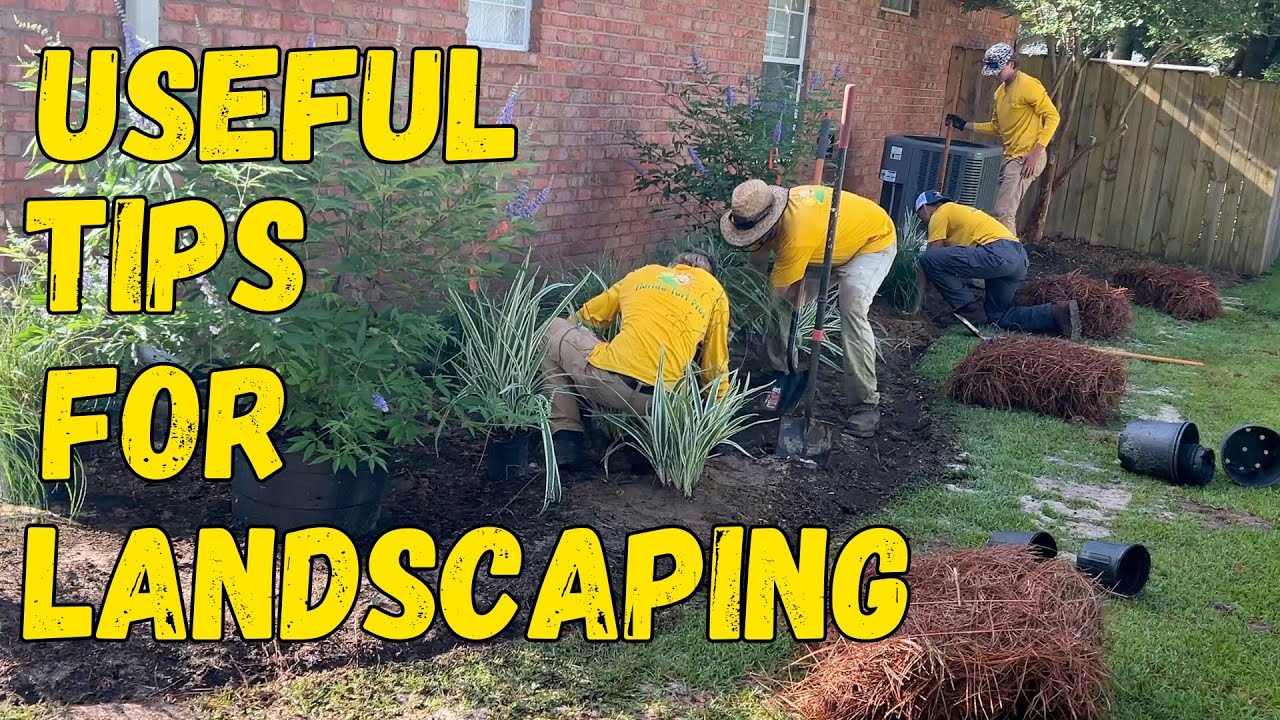 Landscaping Tips for Beginners