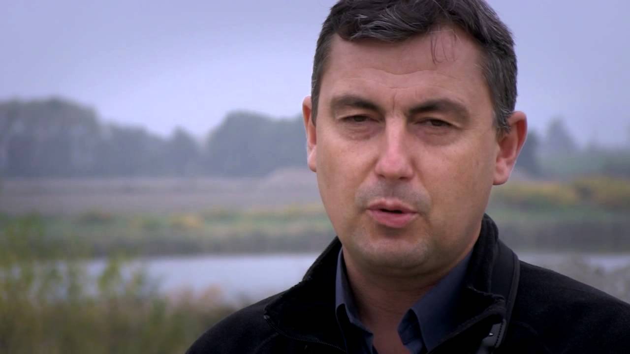 Polder Buk&oacute;w. Koegzystencja człowieka z naturą