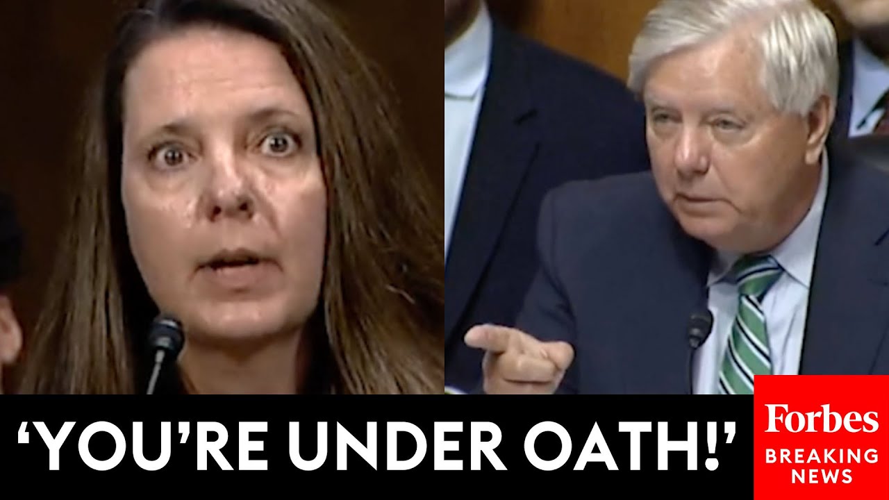 'This Is What They Said About You': Lindsey Graham Grills Judicial Nominee About Alleged Past Ties