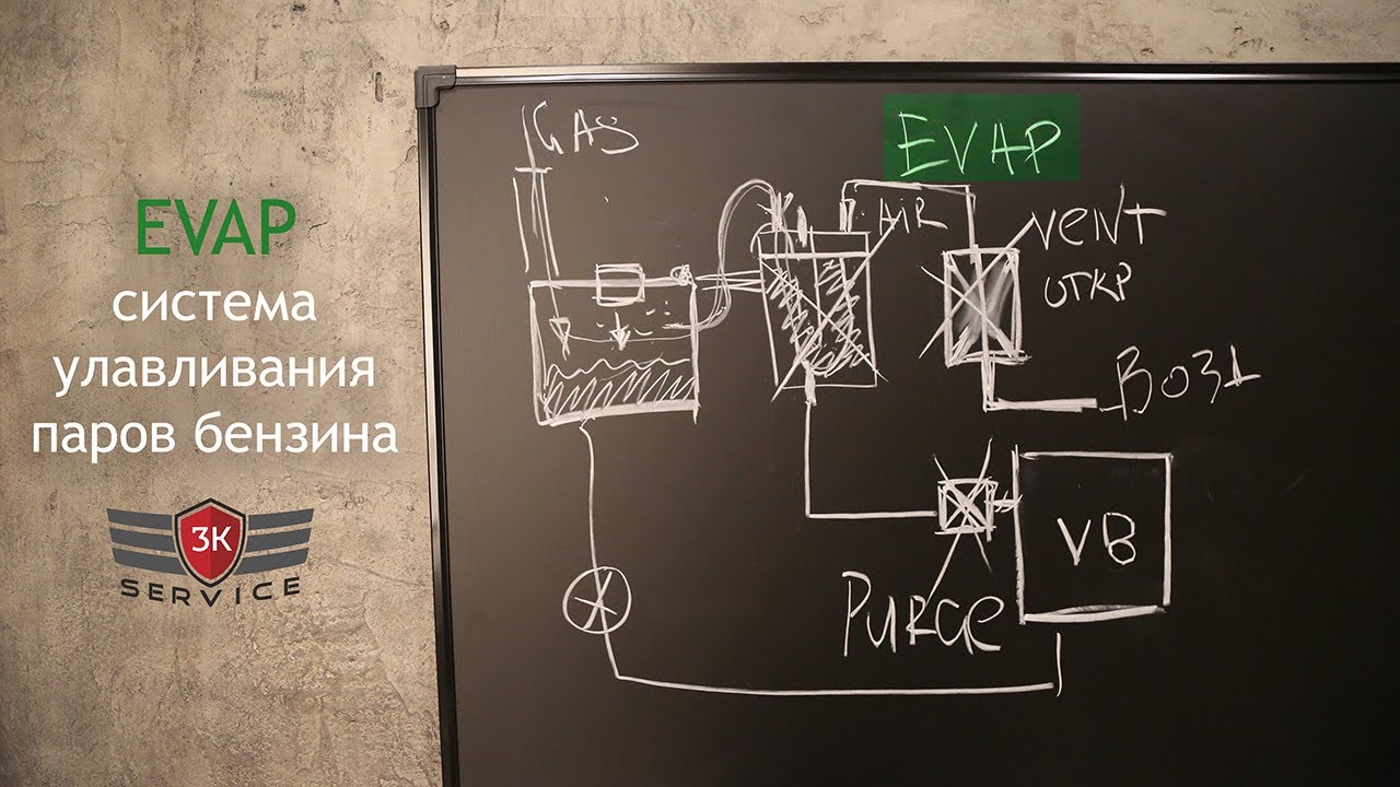 EVAP - что это, как работает, почему нельзя отключать