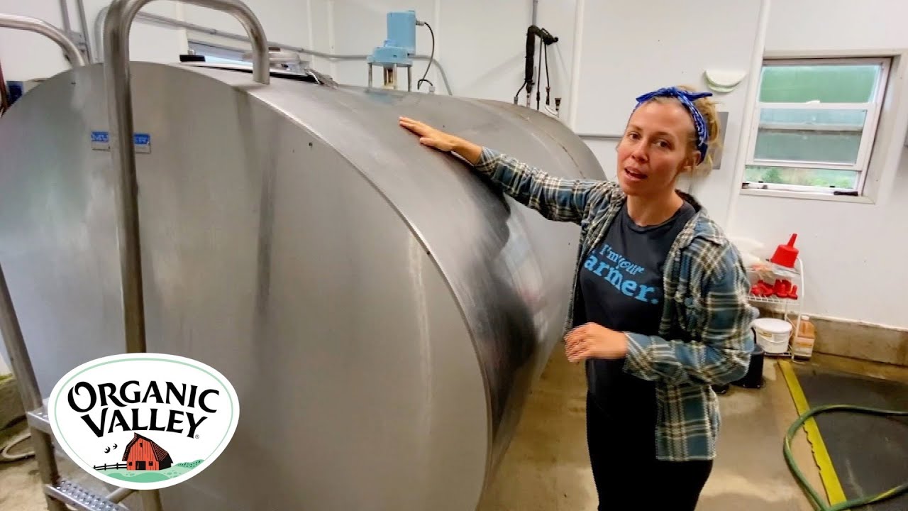 Milking Parlor Tour : How We Milk Cows on our Organic Valley Dairy Farm