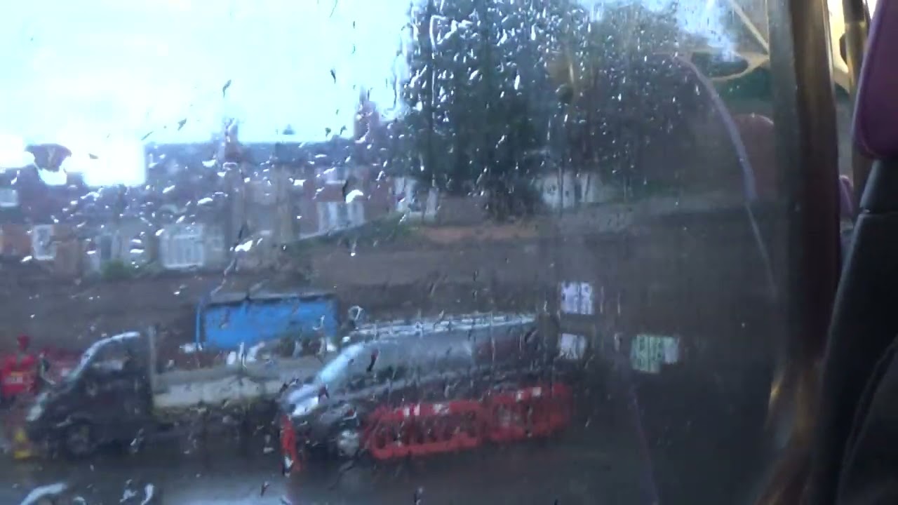 Foxy having a ride on Brighton and Hove bus route 28 in East Sussex, 5th June 2022 pt2