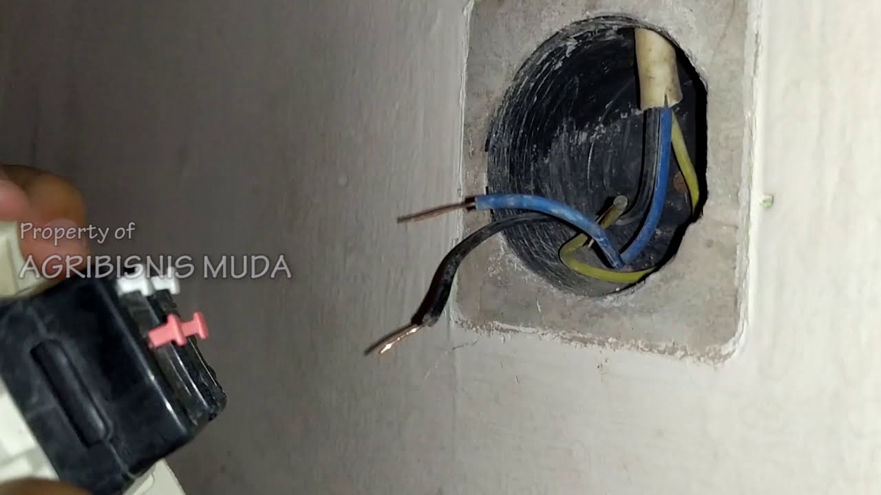 cara memperbaiki saklar lampu yang rusak karena semut numpuk