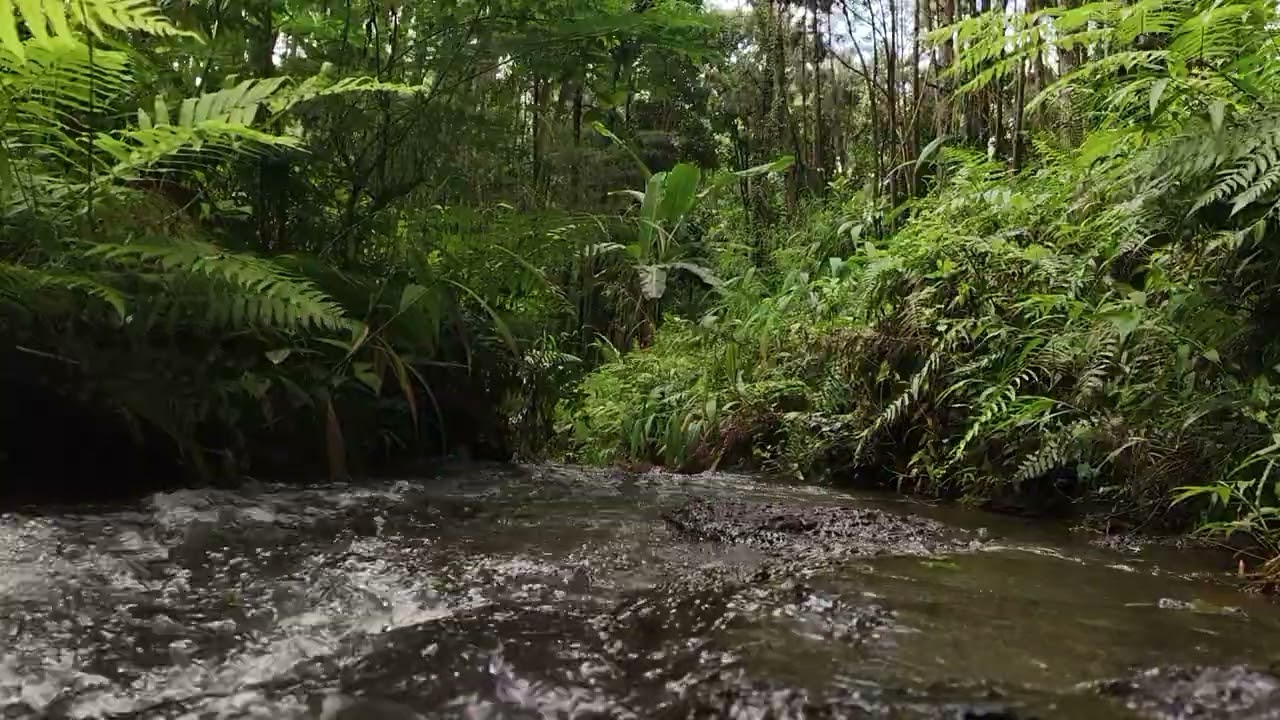 Fall Asleep Fast with Calming Water Sounds