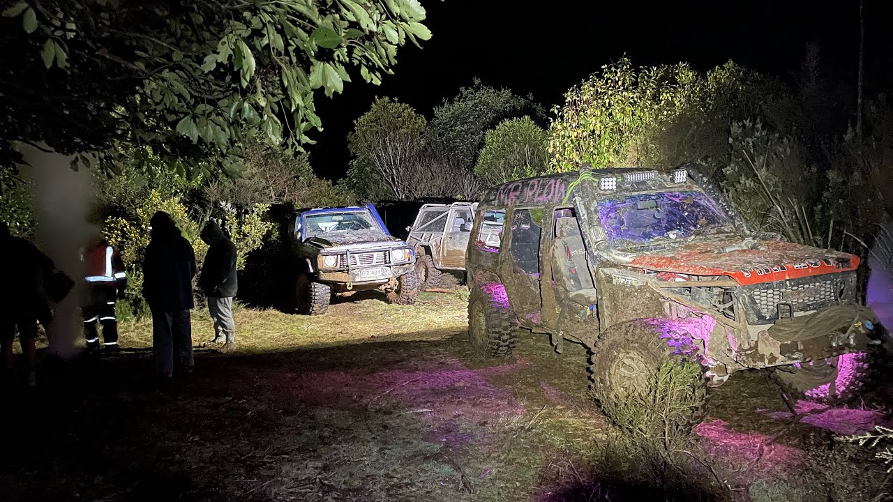 Pureora Forest adventure Part 2