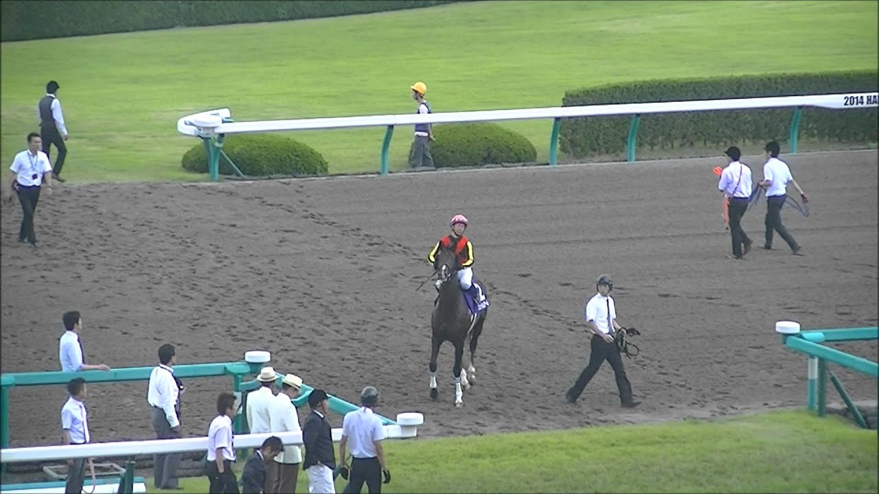 2014 6/29 第55回 宝塚記念(ＧＩ) 本馬場入場 現地映像 ゴールドシップ