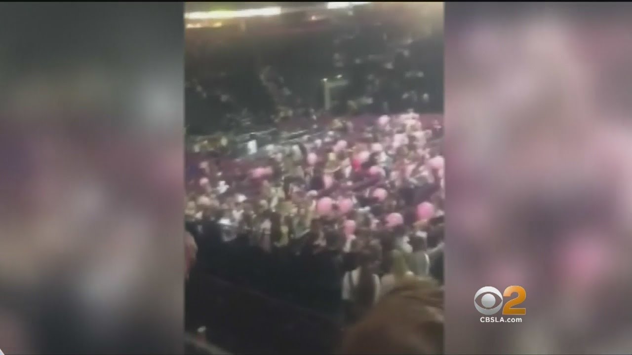 Security Expert Discusses Safety Tip At Concerts