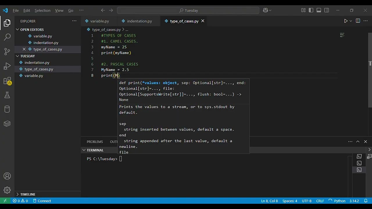 Types of cases in Python 