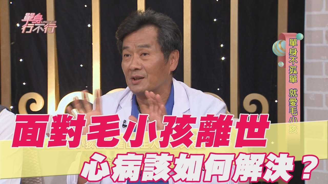 【精華版】面對毛小孩離世該怎麼辦？