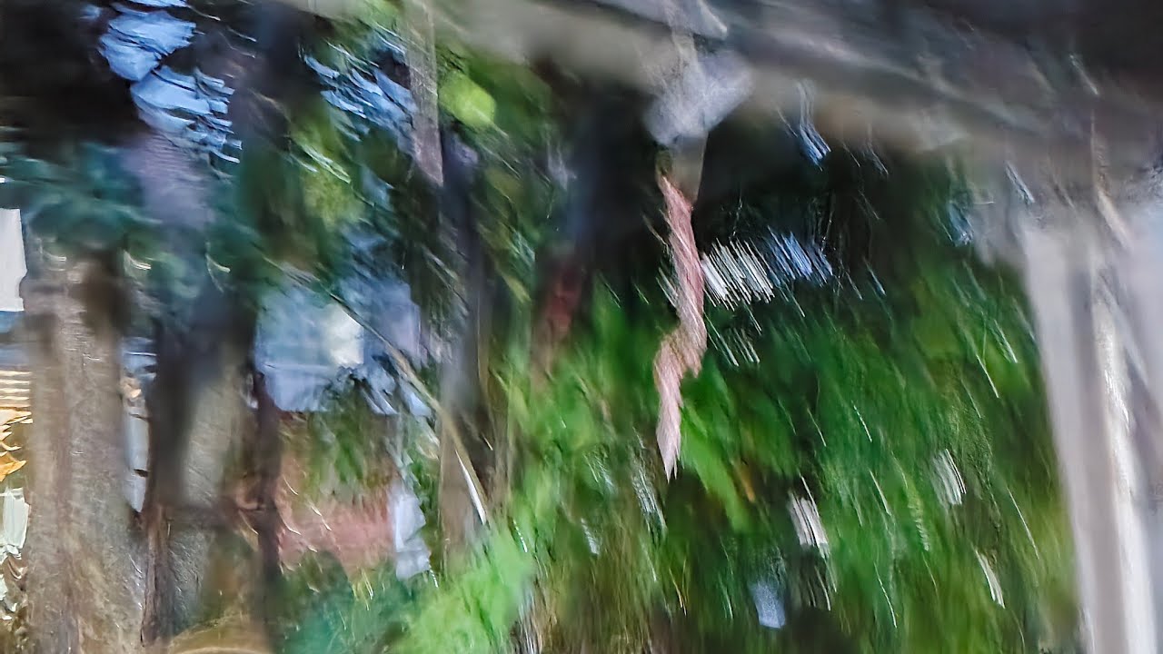 rain sounds for sleeping. long heavy rain home