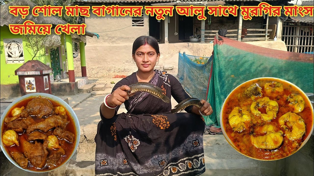 দুপুরে বড় শোল মাছ বাগানের নতুন আলু দিয়ে সাথে মুরগির মাংস জমিয়ে খেলাম || Nandita Sundarban life 