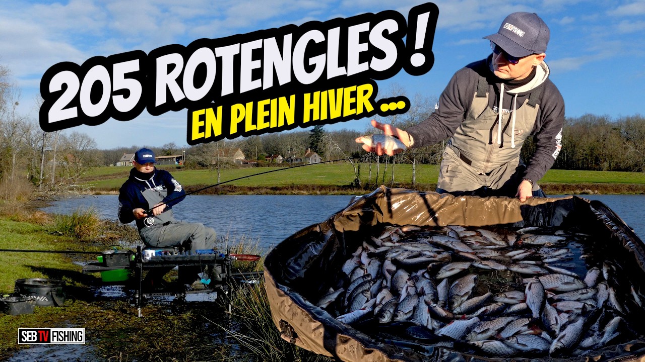 Record en Hiver 🎣 P&ecirc;che &agrave; l&rsquo;Anglaise : + de 200 Rotengles