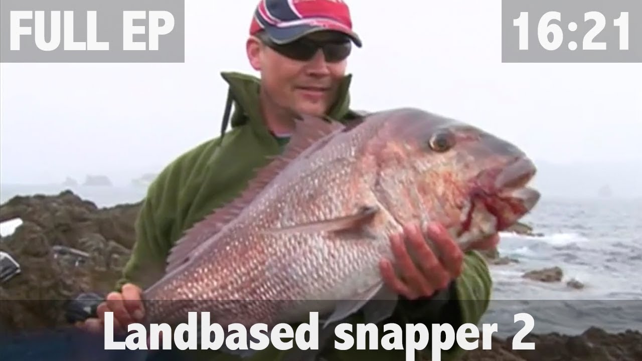 LAND BASED SNAPPER FISHING PART 2