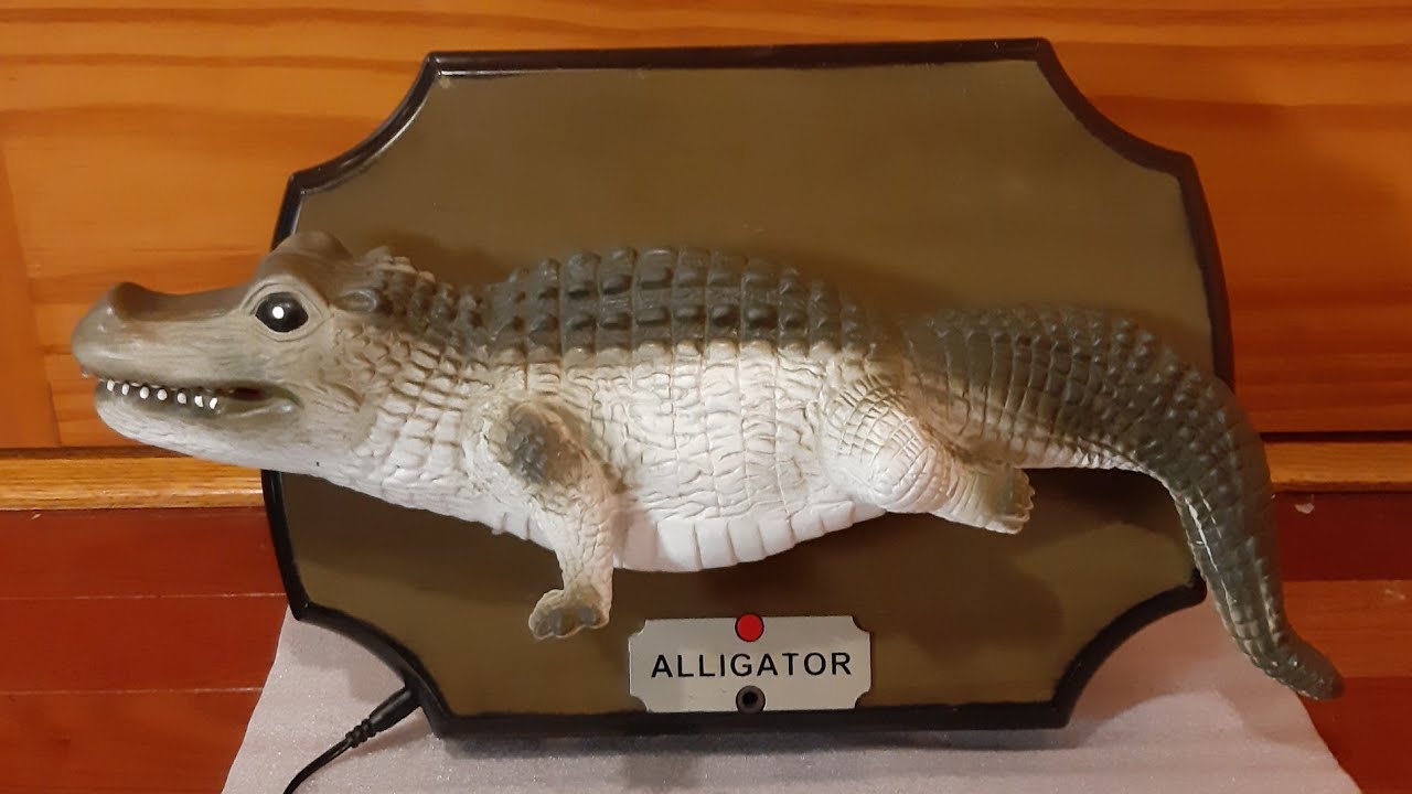 Bubba Alligator the Singing Sensation