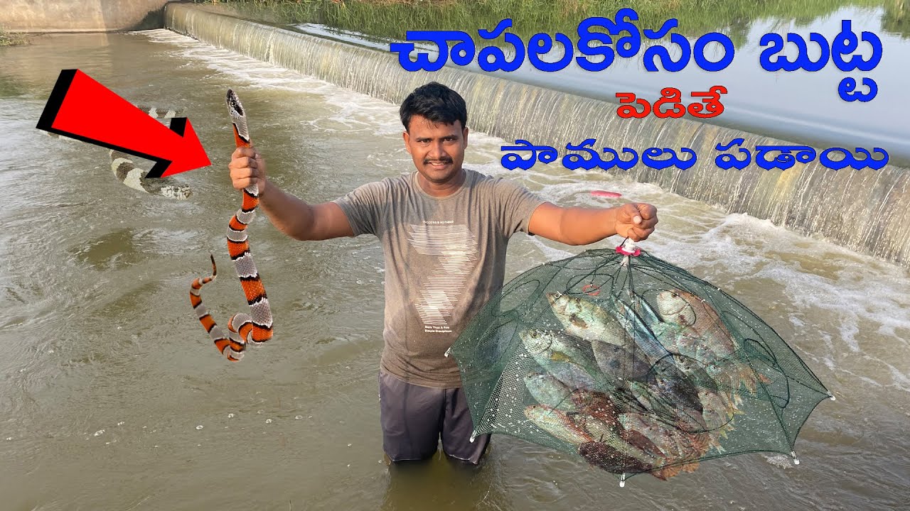 Fish Trap In Telugu ||online Fish trap in Telugu | Chapala butta |Mr,Mahesh
