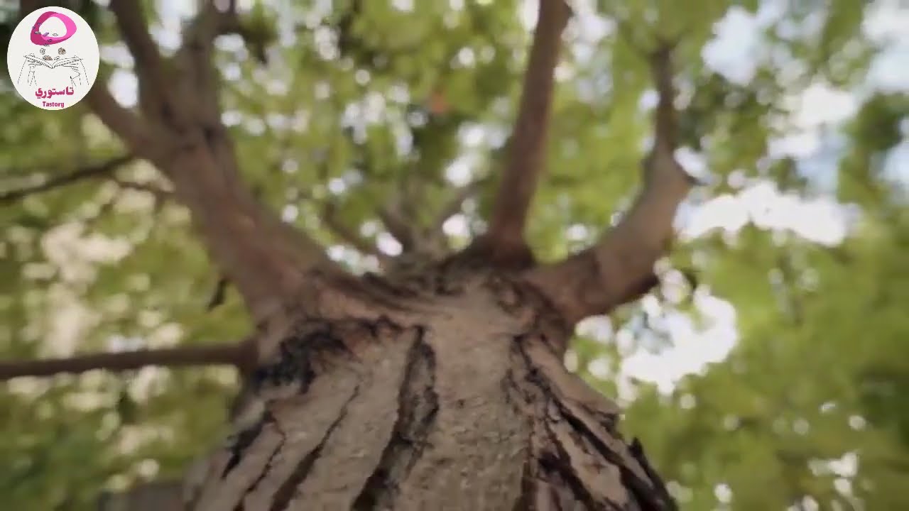 قصة الهاربة إلى كندا ! تحبس الأنفاس