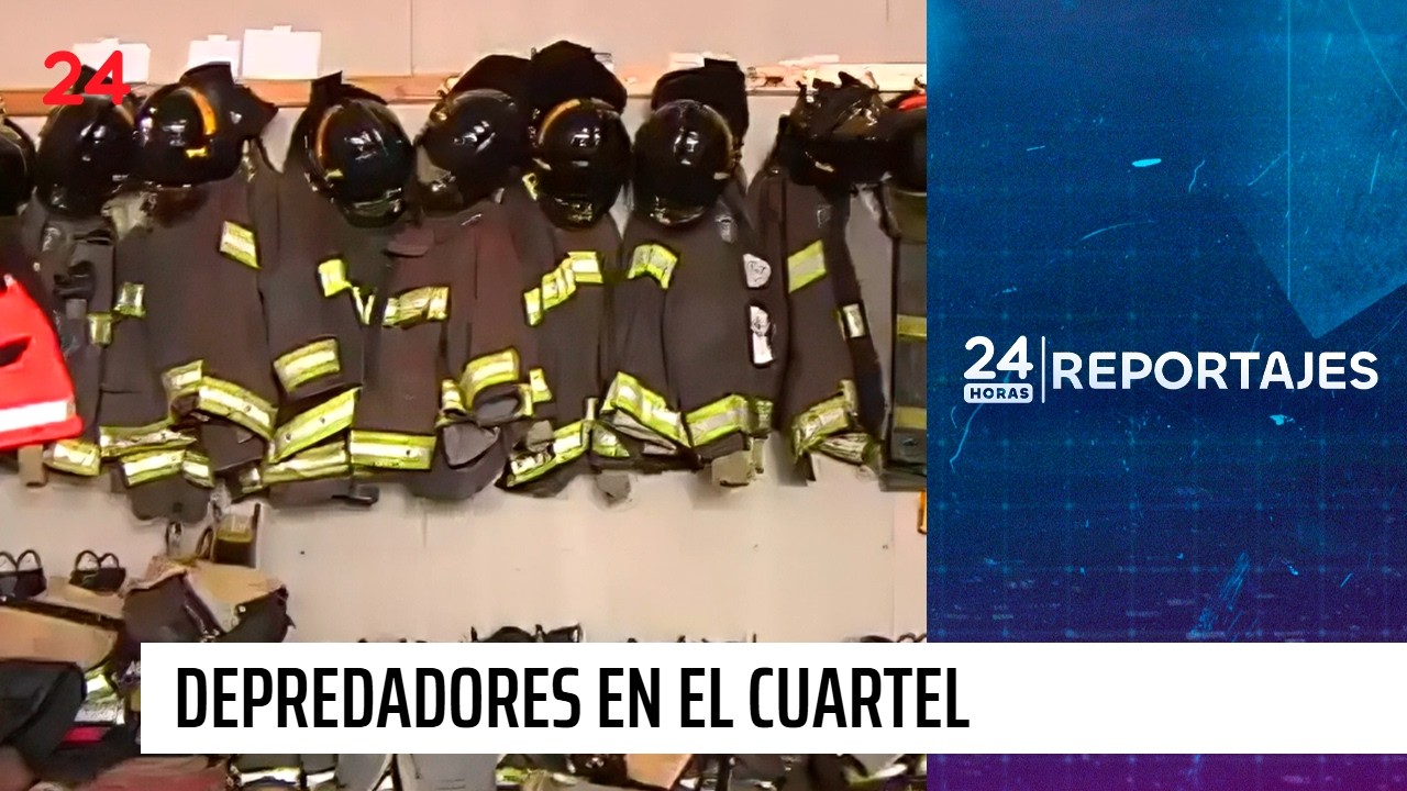 24 Horas Reportajes: Depredadores en el cuartel