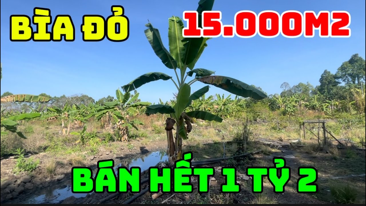Cần bán 15.000m2 sổ Hồng riêng nhà điện nước đầy đủ vườn cây trái tại đồng Nai 