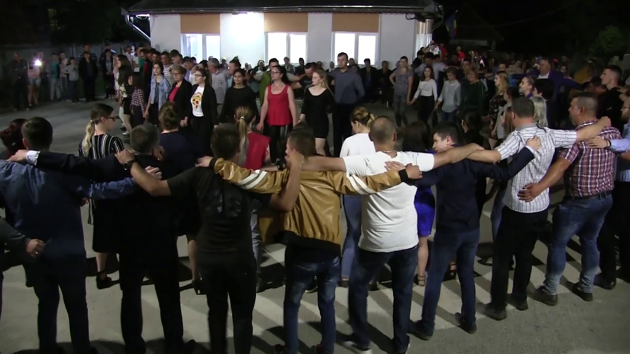 FRAGMENT DIN NEDEEA PADURENERASCA DE LA CERISOR 2019