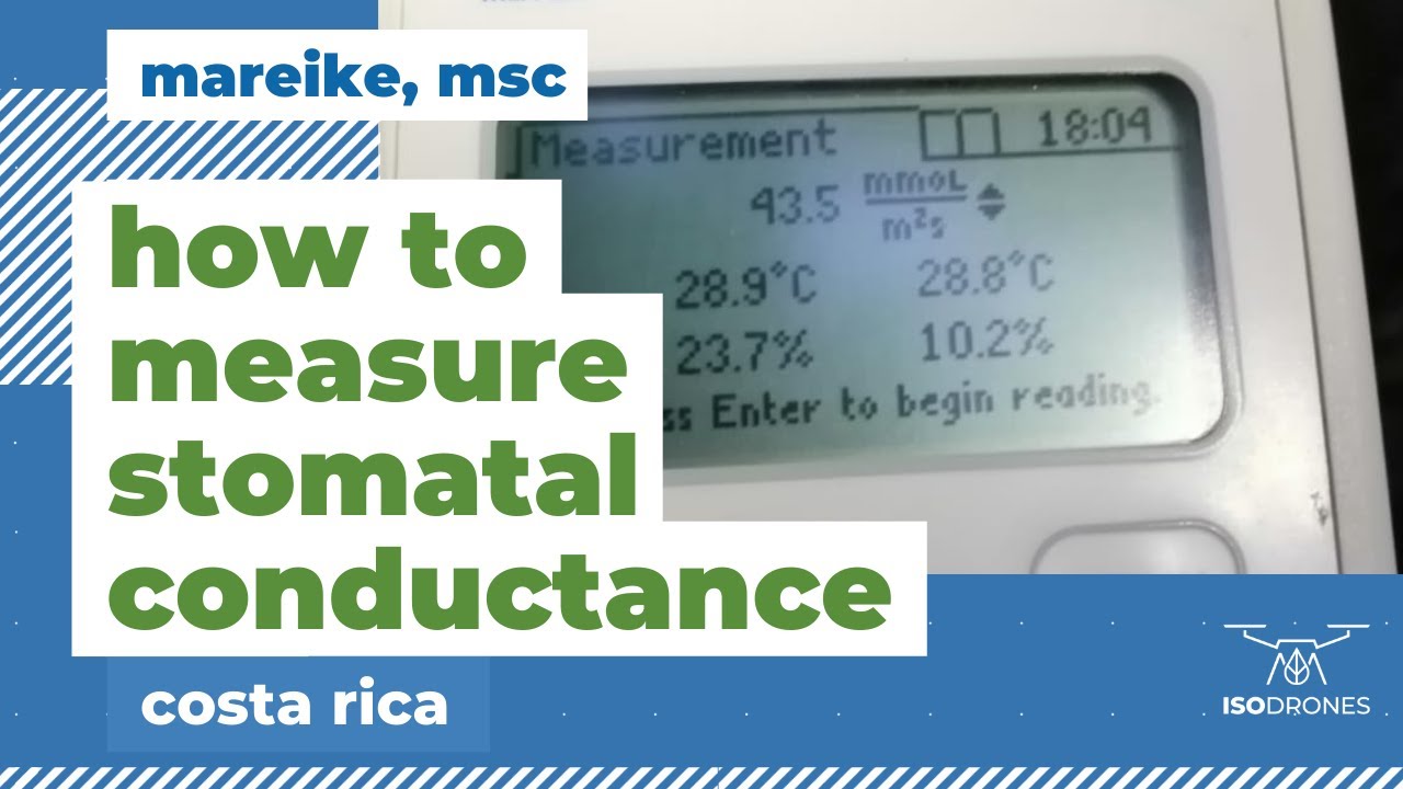 Isodrones | How to measure stomatal conductance