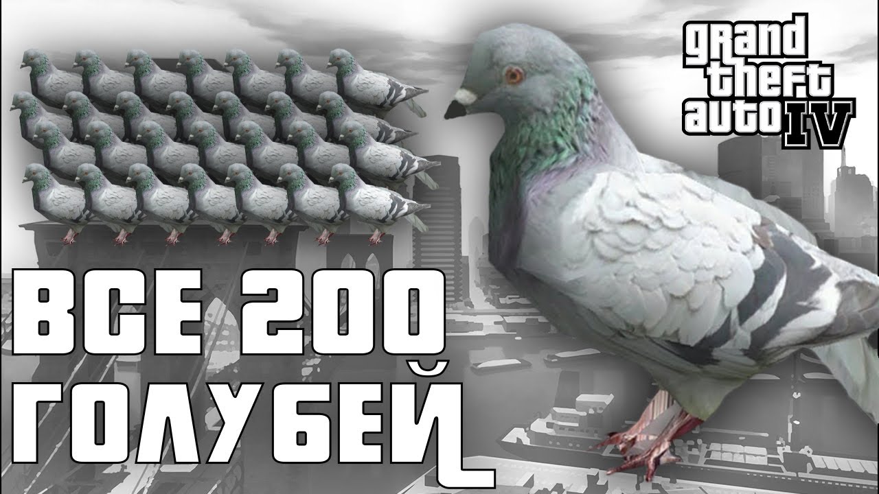 GTA 4 - ВСЕ 200 ЗАРАЖЕННЫХ ГОЛУБЕЙ | 2024