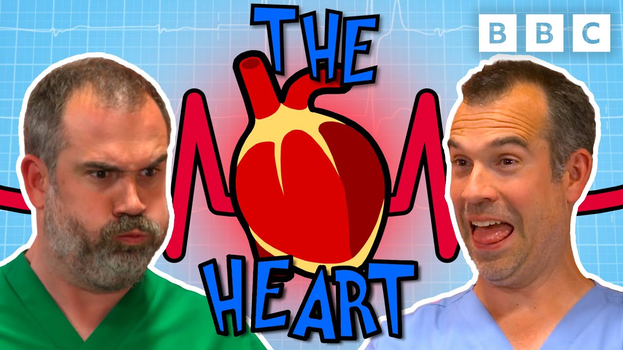 Learn how HEARTS work with Dr. Chris and Dr. Xand! | Operation Ouch! | CBBC