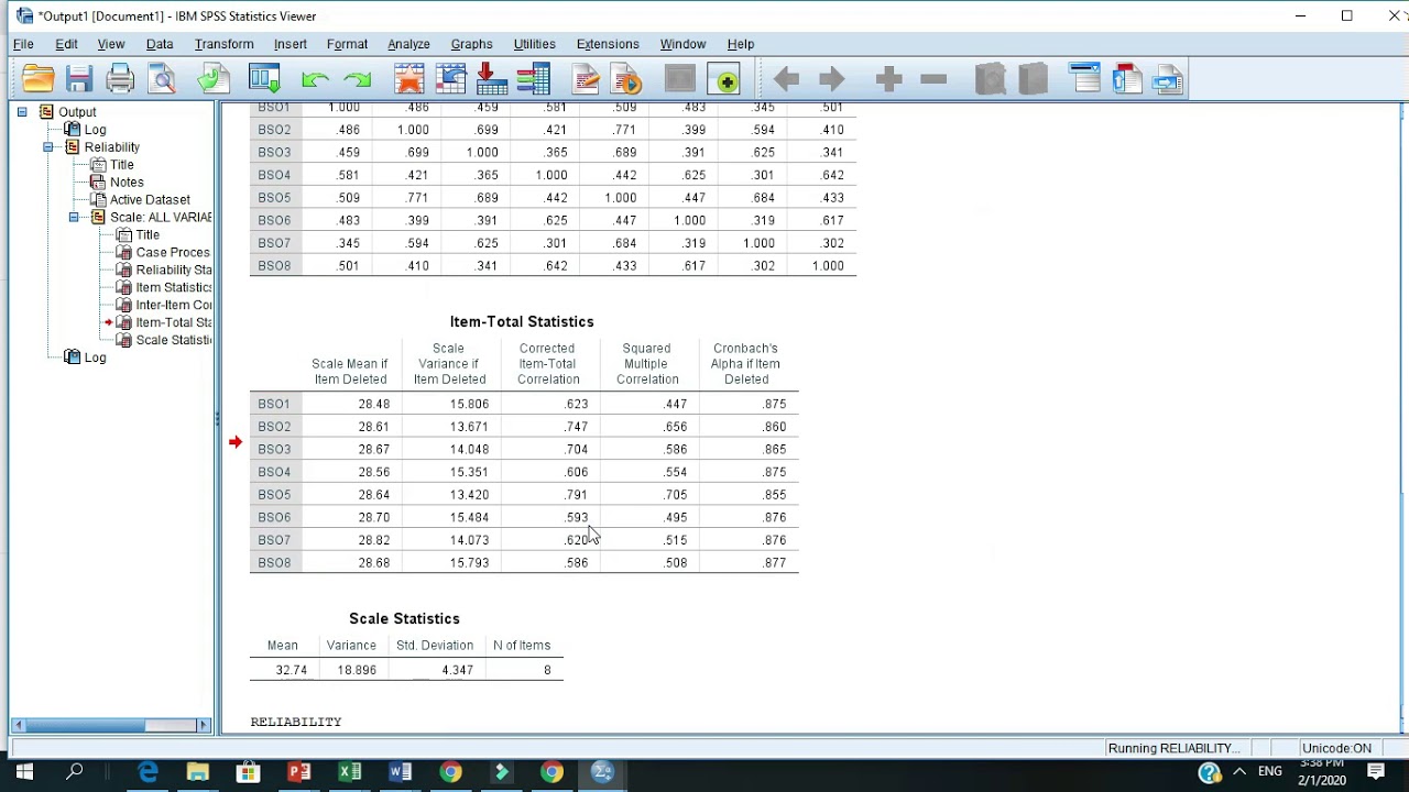 Cronbach's alpha in spss (1 minute)