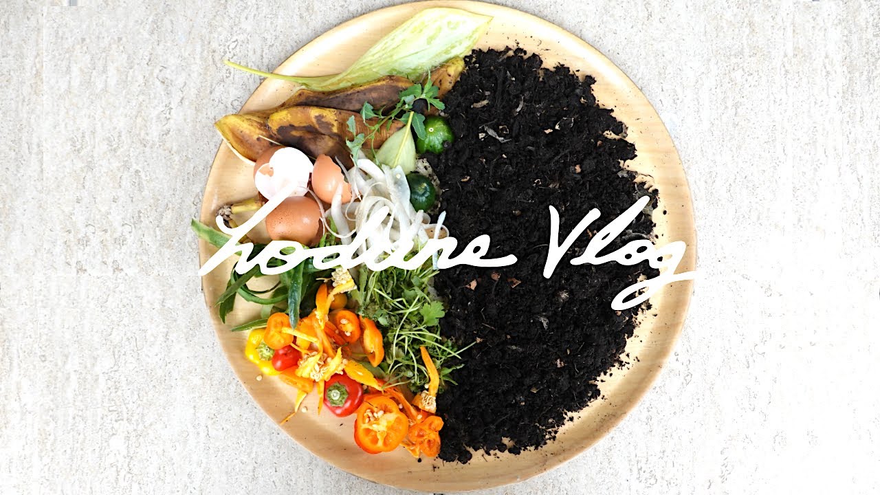 SUB) 음식물 쓰레기로 쉽게 만드는 친환경 비료 3가지 l Natural Fertilizer