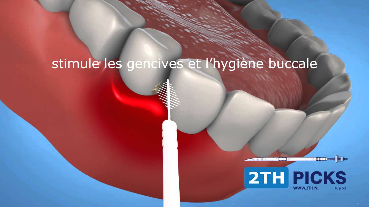 2TH Picks: Cure-dents incassables avec brosse innovatrice