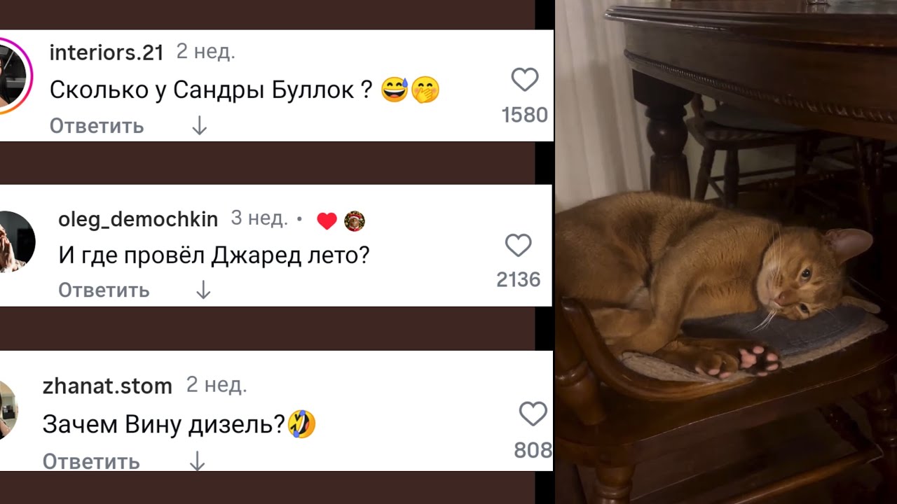 Кот Стэтхэма 🎧 Комментарии 