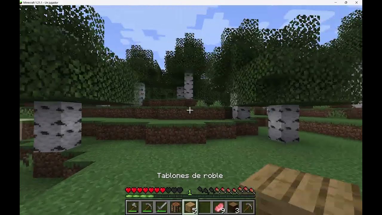 jugando minecraft java 🙃