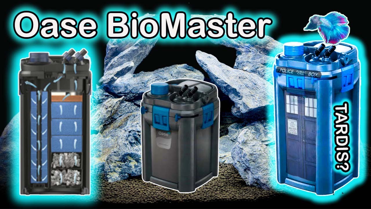 Oase Biomaster Thermo Unboxing and Setup! The Best Aquarium Filter!