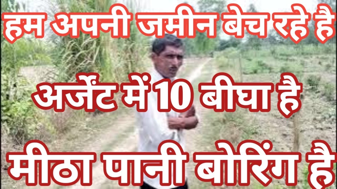 1.लाख रुपया प्रति बीघा बिकाऊ है कच्ची सड़क से लगी टोटल जमीन 10 बीघा है agriculture land for sale