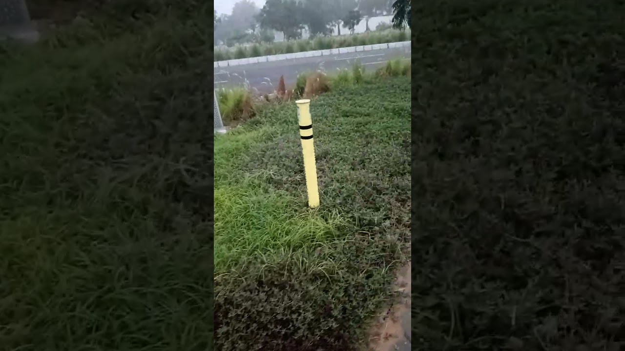 Fog with Walk 