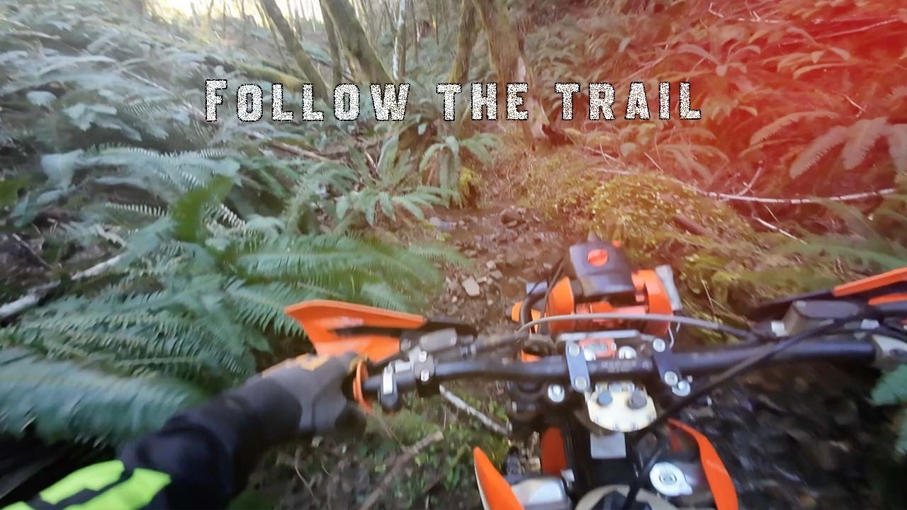another UNMAPED TRAIL in to the forrest