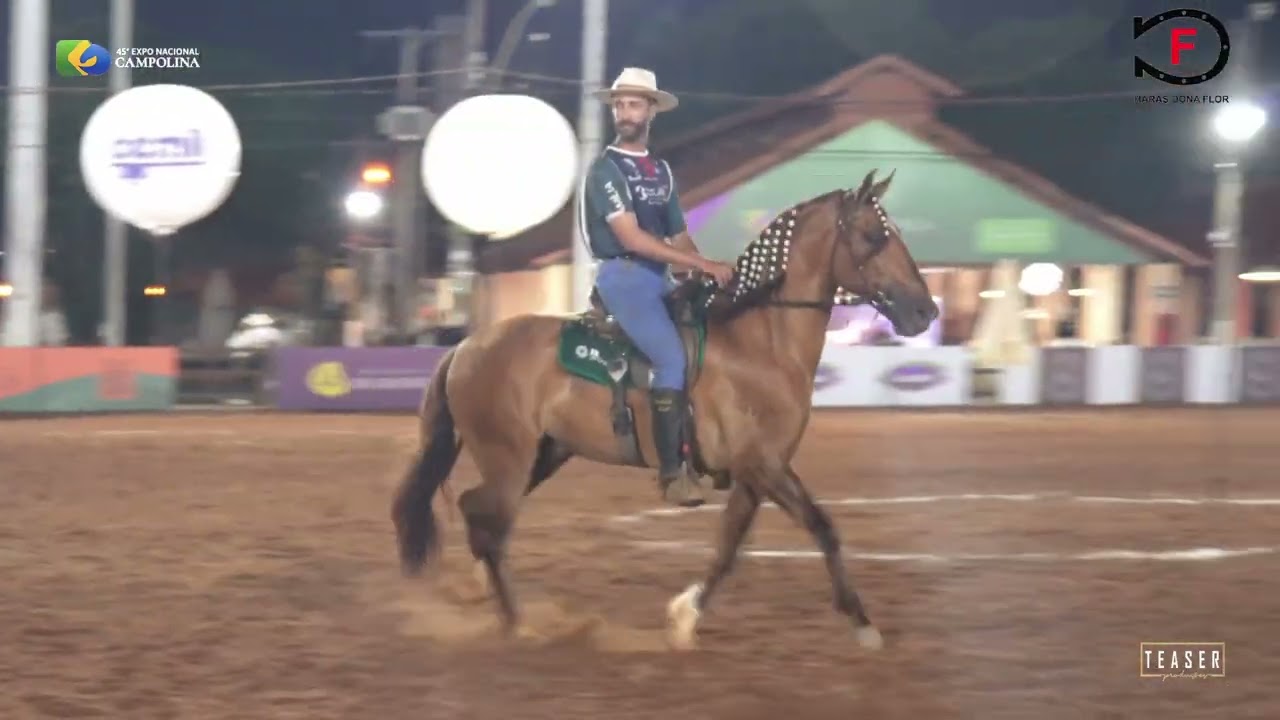 JASPEON DA DONA FLOR - 45ª NACIONAL DO CAVALO CAMPOLINA 2025