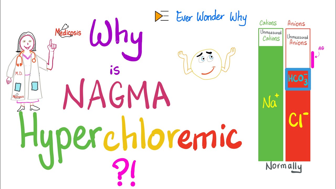The Serum Anion Gap (AG) - Why is NAGMA associated with High Serum Chloride?