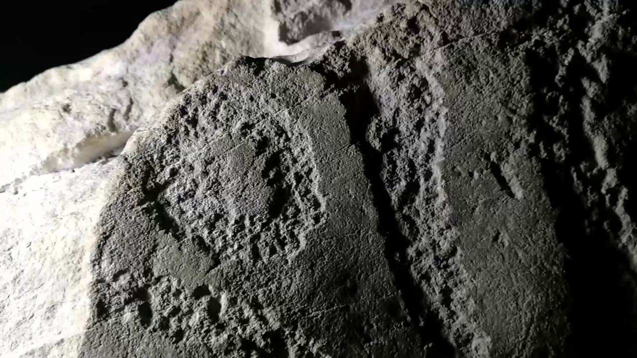 Inside Fourknocks: megalithic art and astronomical alignment