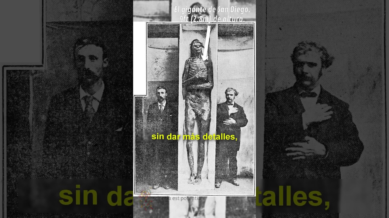 EL GIGANTE de 2 8m El GIGANTE de San Diego 2024.