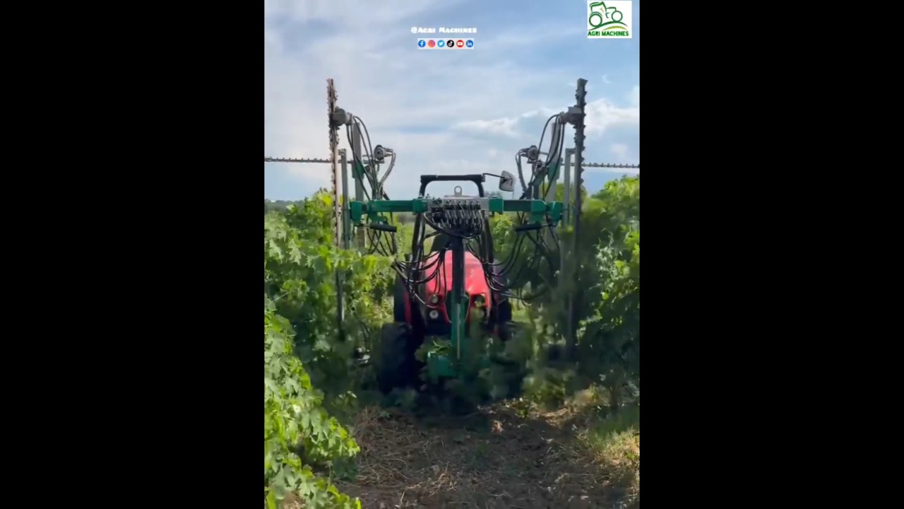 Vine Trimming Machine CBX 200 || Pruning Season 2025 in Italy || #vineyard #mechanical #pruning