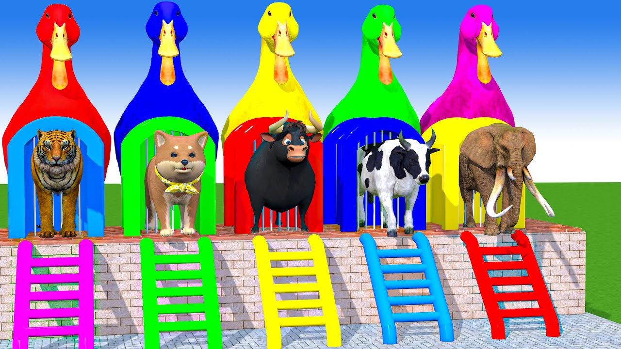 Long Slide Game With Cow Elephant Gorilla Hippopotamus Tiger 3d Animal Game Funny 3d Animals