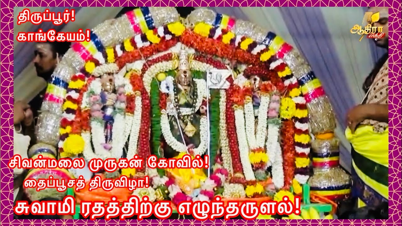 திருப்பூர் காங்கேயம் சிவன்மலை முருகன் கோவிலில் தைப்பூசத் திருவிழா!சுவாமி ரதத்திற்கு எழுந்தருளல்!