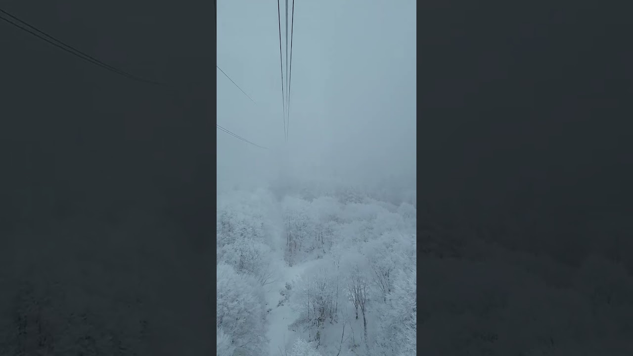 藏王纜車｜Zao Ropeway