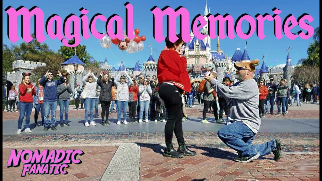 Our Magical Day in Disneyland ~ Proposed In The Park!