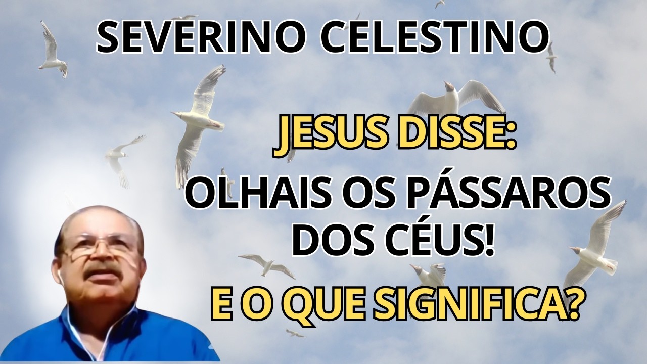 ALERTA: O SEGREDO ESPIRITUAL POR TRÁS DA FRASE “OLHAI OS PÁSSAROS DO CÉU”! – COM SEVERINO CELESTINO.