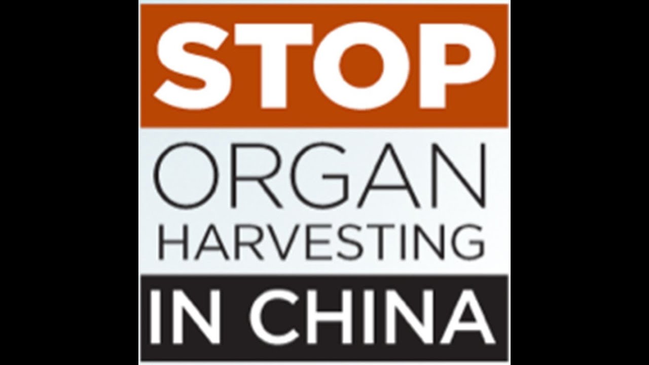 A Petition to the Obama Administration - NTDChinaUncensored - NTDonChina
