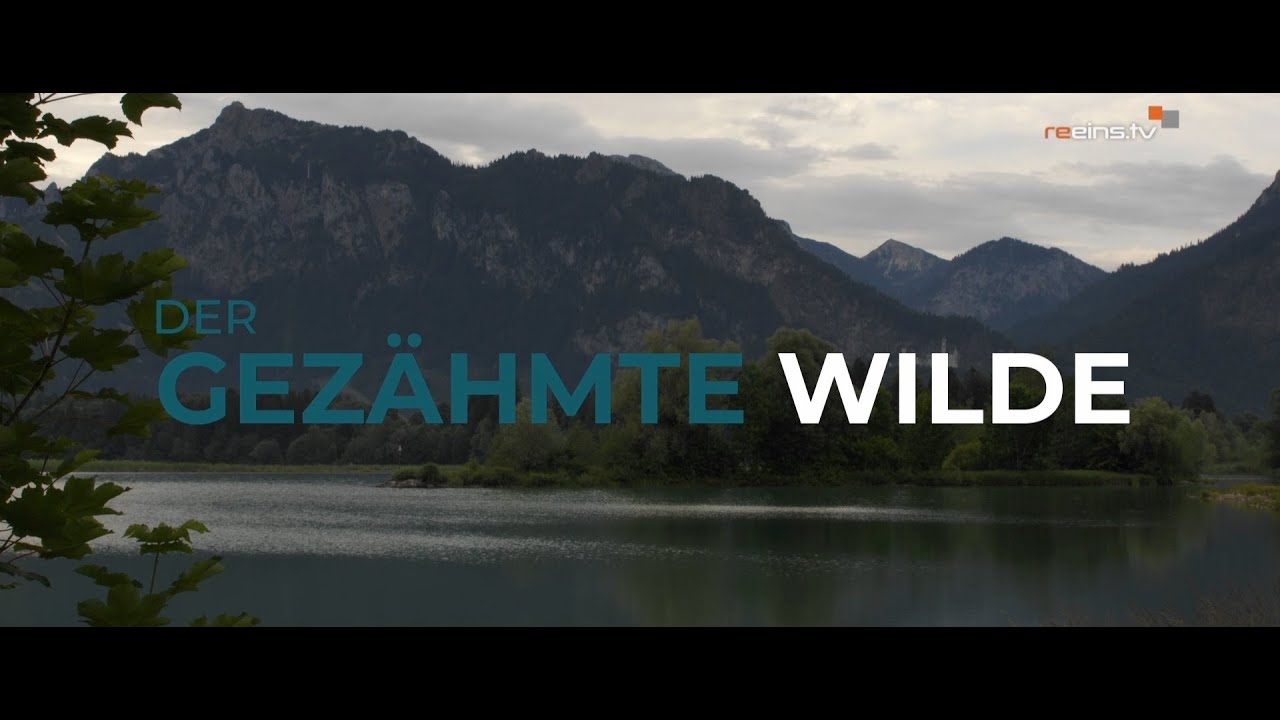 Der gezähmte Wilde - Der Lech (Teil 2)